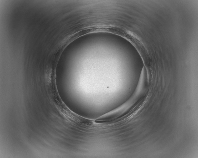 X0000073871161200608101502