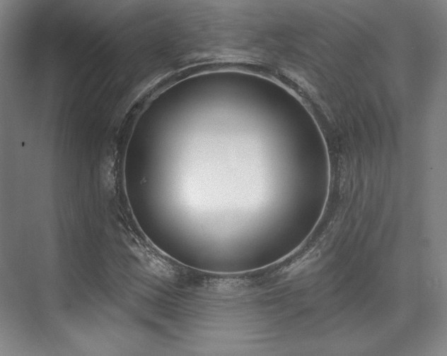 X0000073871163200608101502