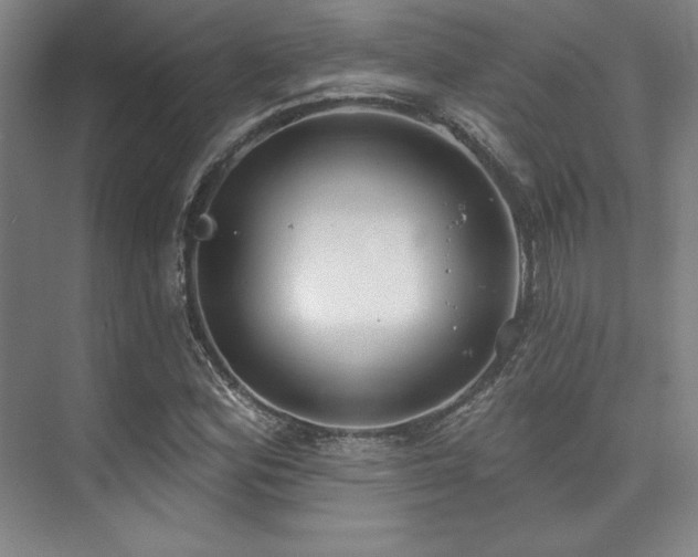 X0000073871164200608101502