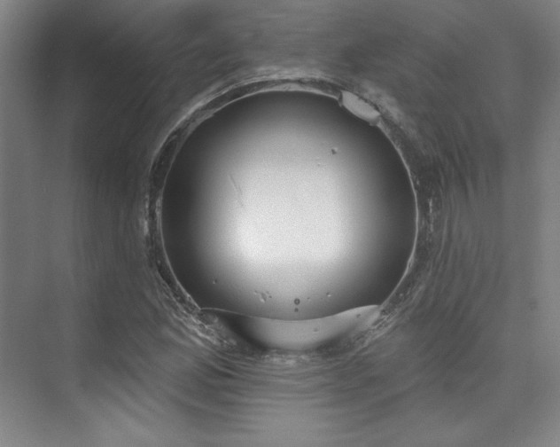 X0000073871165200608101502