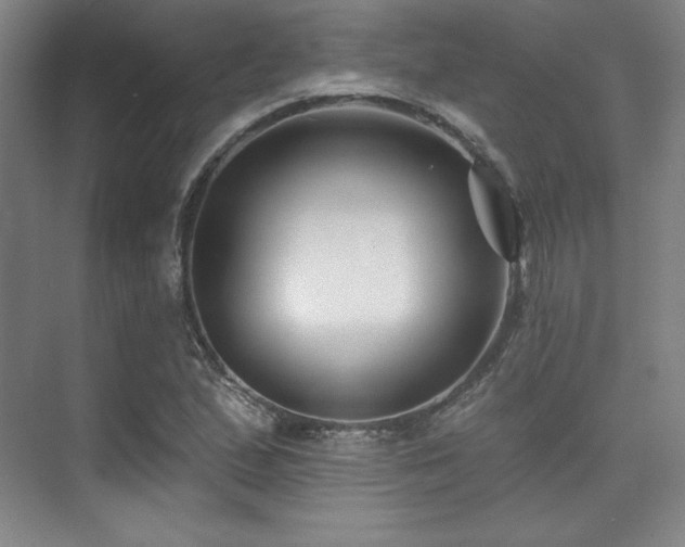 X0000073871167200608101502