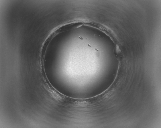 X0000073871168200608101502