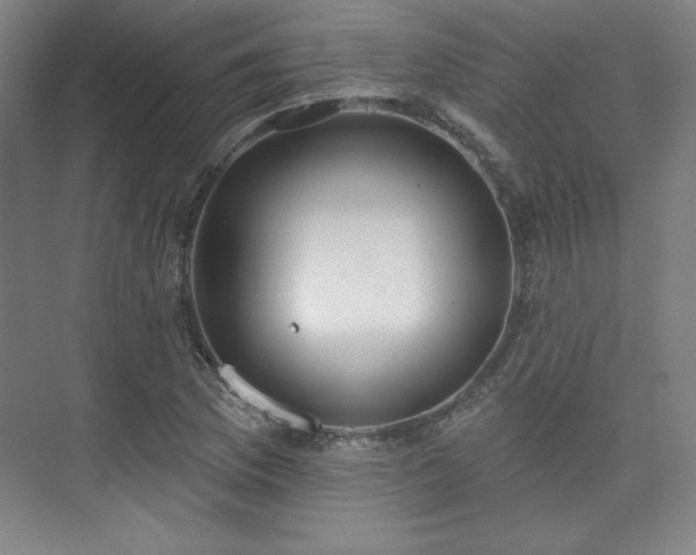 X0000073871169200608101502