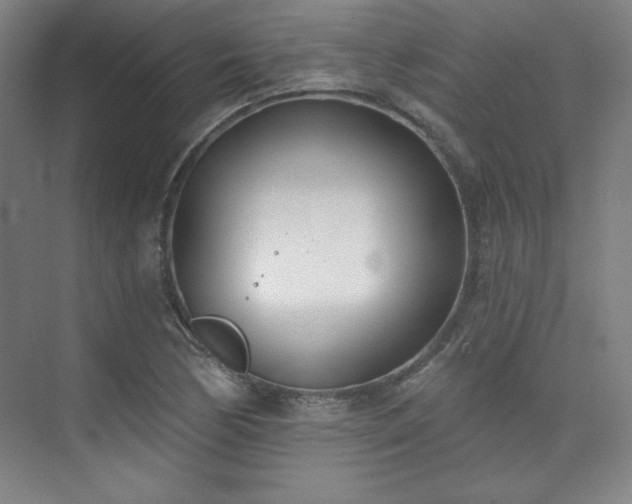 X0000073871170200608101502