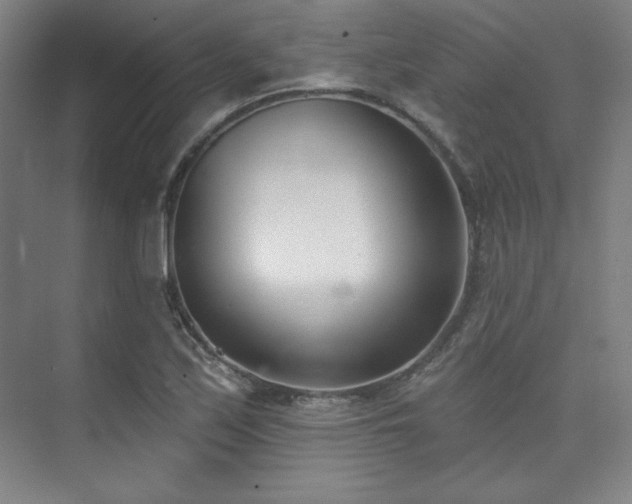 X0000073871171200608101502