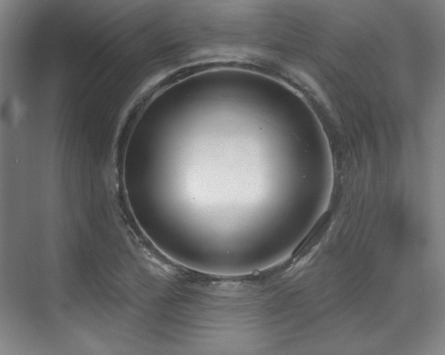 X0000073871172200608101502