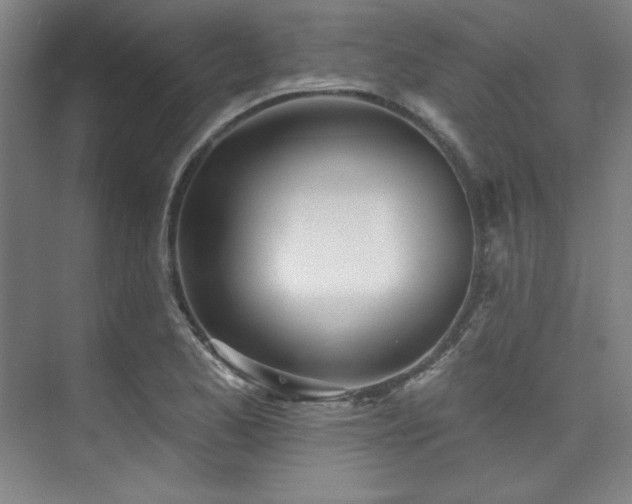 X0000073871173200608101502