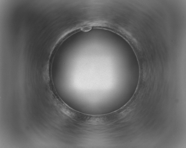 X0000073871174200608101502