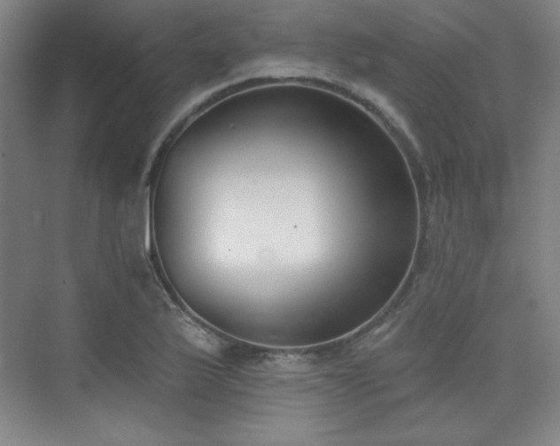 X0000073871175200608101502