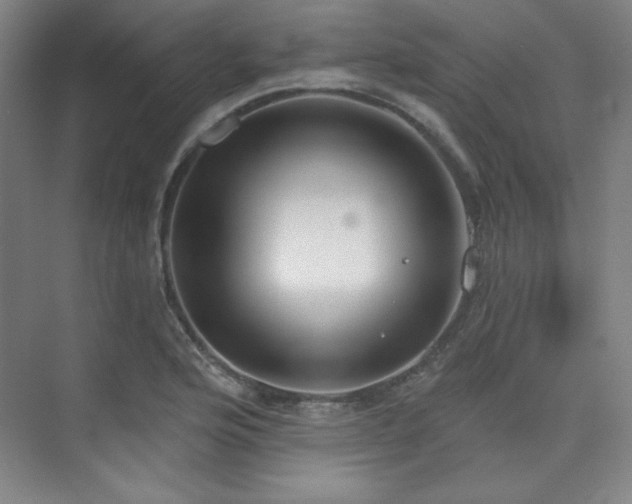 X0000073871176200608101502