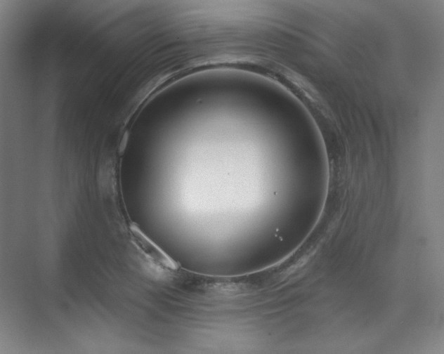 X0000073871177200608101502