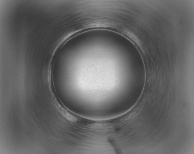 X0000073871179200608101502