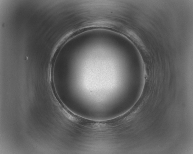 X0000073871180200608101502