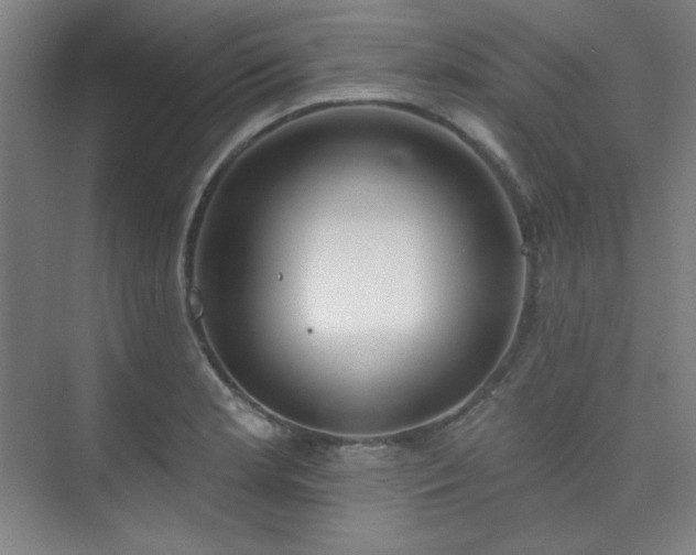 X0000073871181200608101502