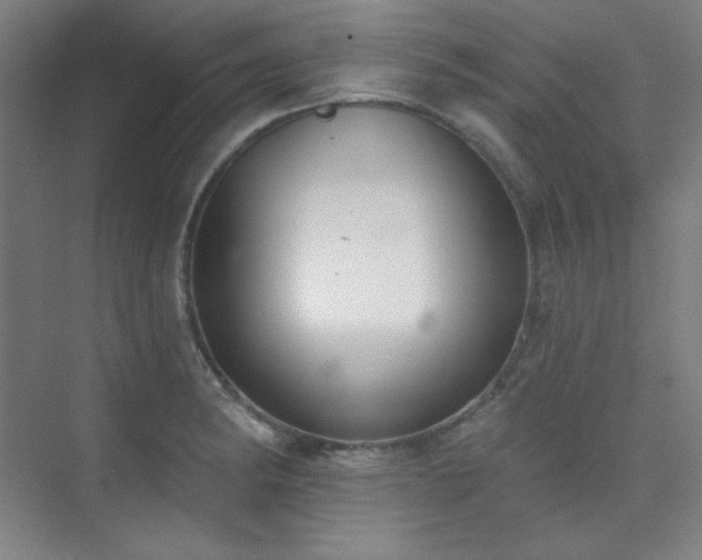 X0000073871182200608101502