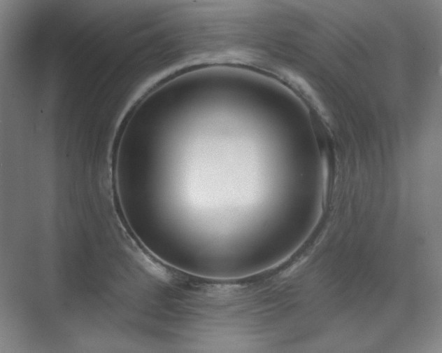 X0000073871184200608101502