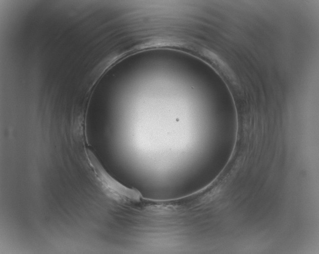 X0000073871185200608101502