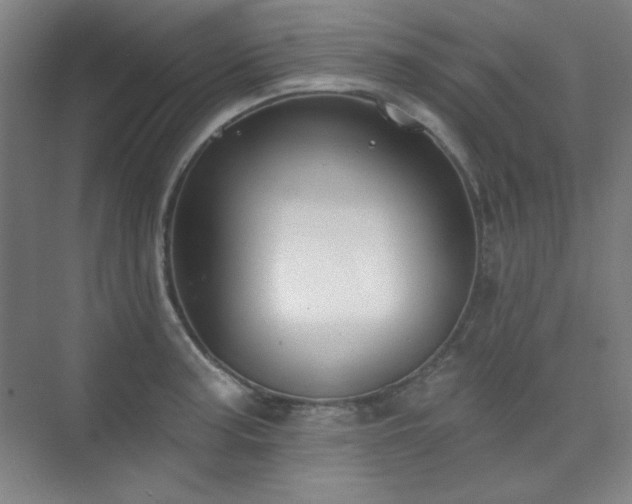 X0000073871187200608101502