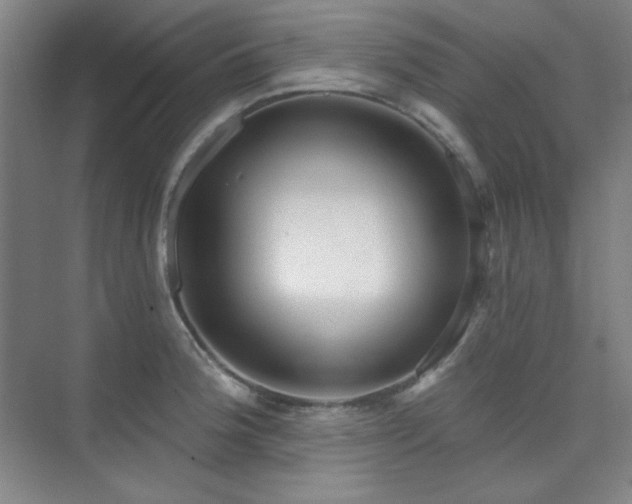 X0000073871188200608101502