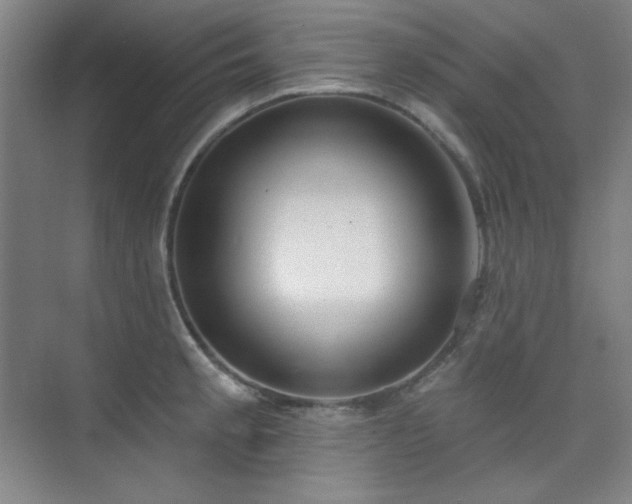 X0000073871189200608101502