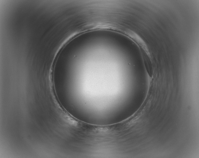 X0000073871190200608101501