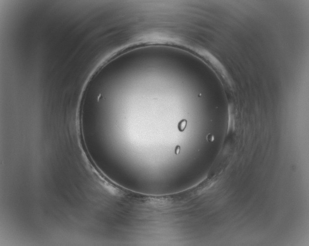 X0000073871191200608101501