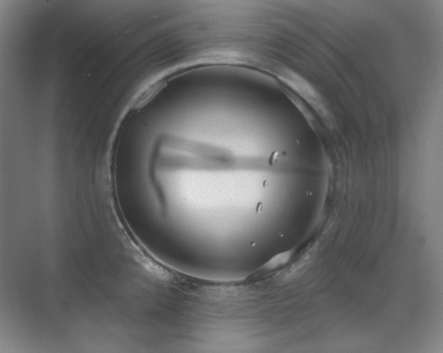 X0000073871192200608101501