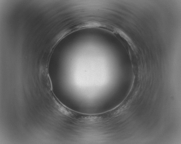 X0000073871193200608101501