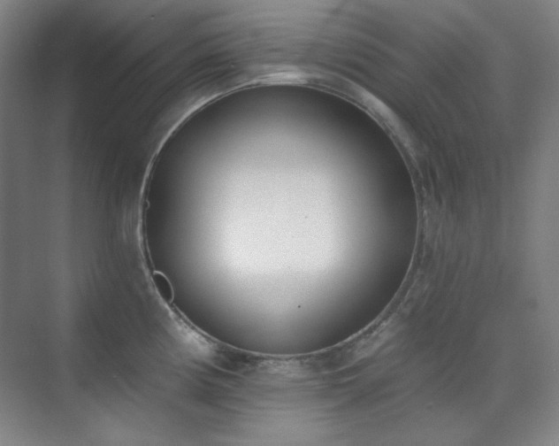 X0000073871194200608101501