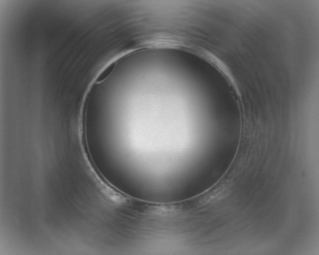 X0000073871195200608101501