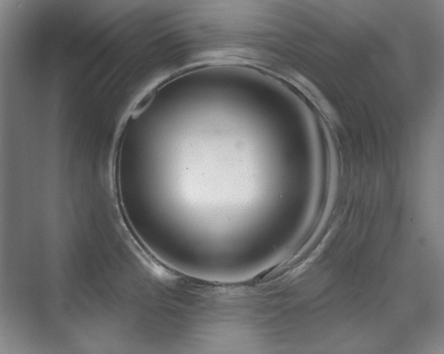 X0000073871196200608101501