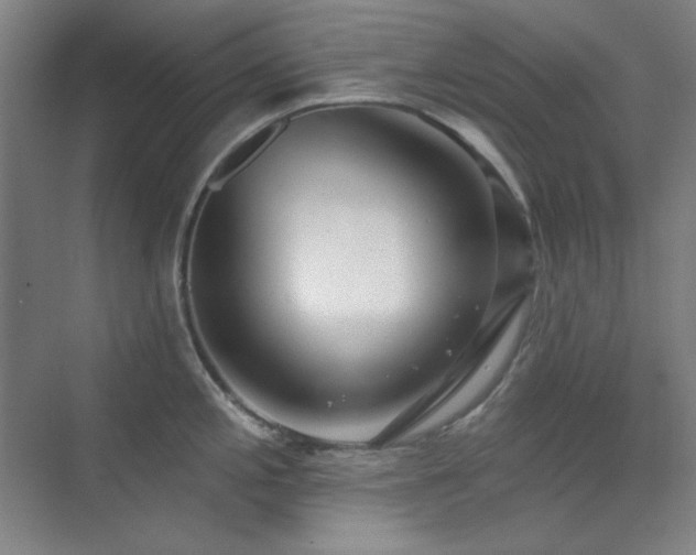 X0000073871197200608101501