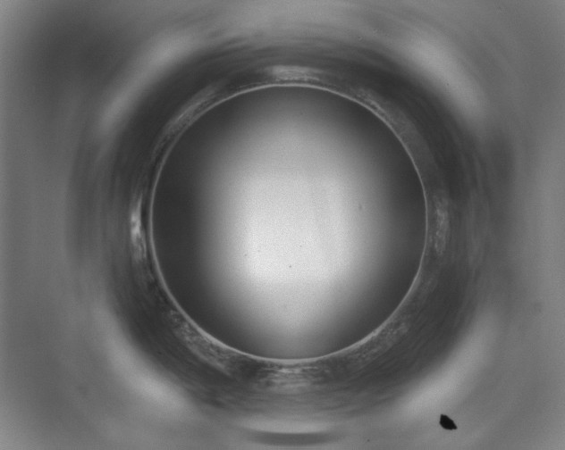 X0000073871198200608101501