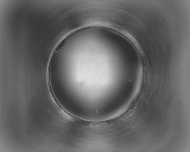 X0000073871199200608101501