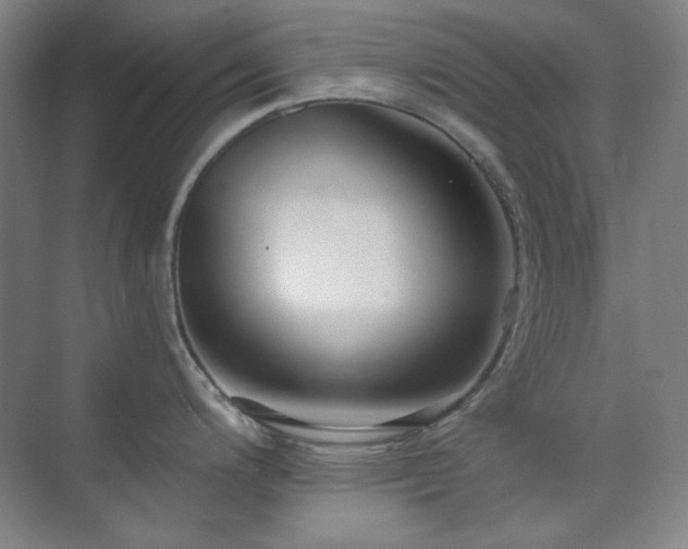 X0000073871200200608101501