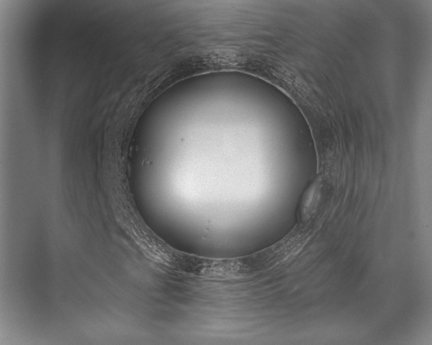 X0000073871201200608101501