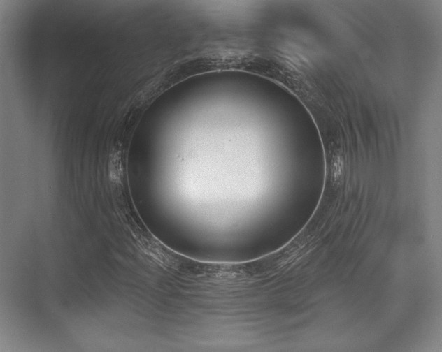 X0000073871204200608101501