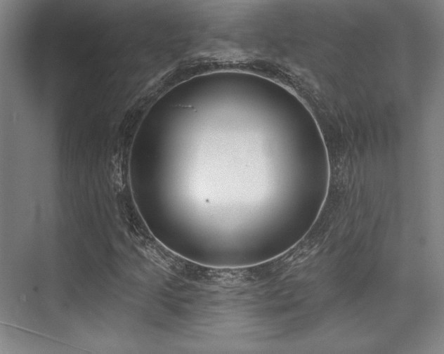 X0000073871205200608101501