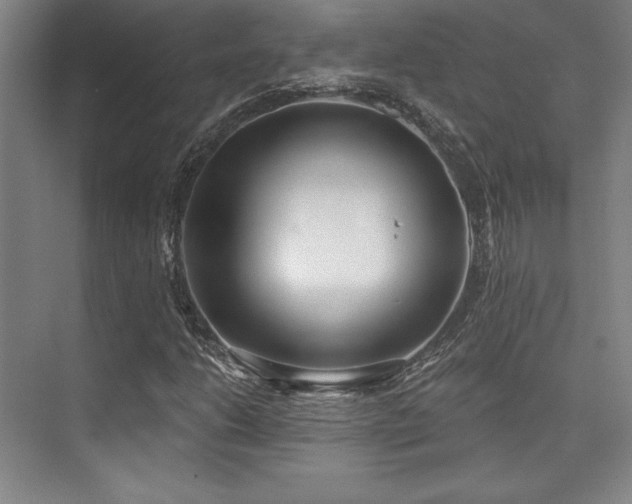 X0000073871206200608101501