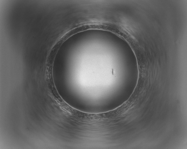 X0000073871208200608101501