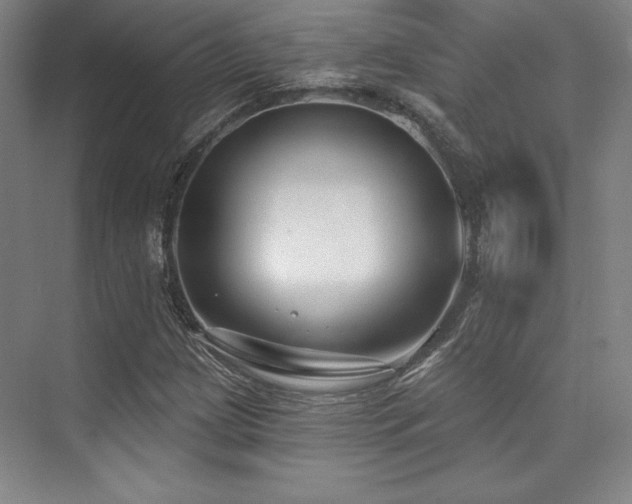 X0000073871209200608101501