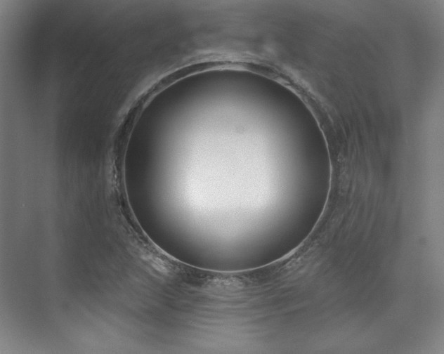 X0000073871215200608101501