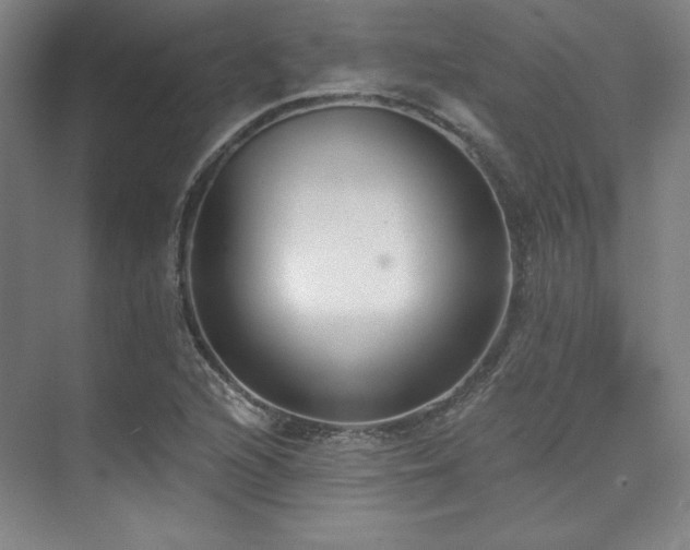 X0000073871216200608101501