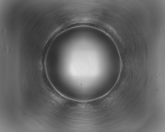 X0000073871218200608101501