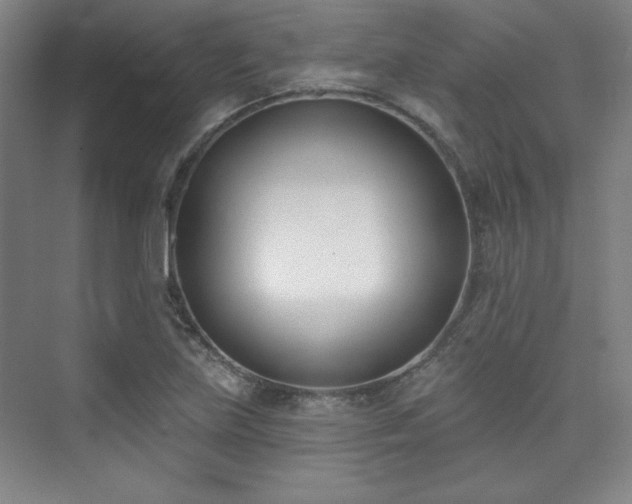 X0000073871219200608101501