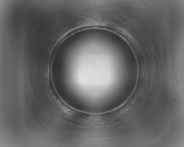 X0000073871220200608101501