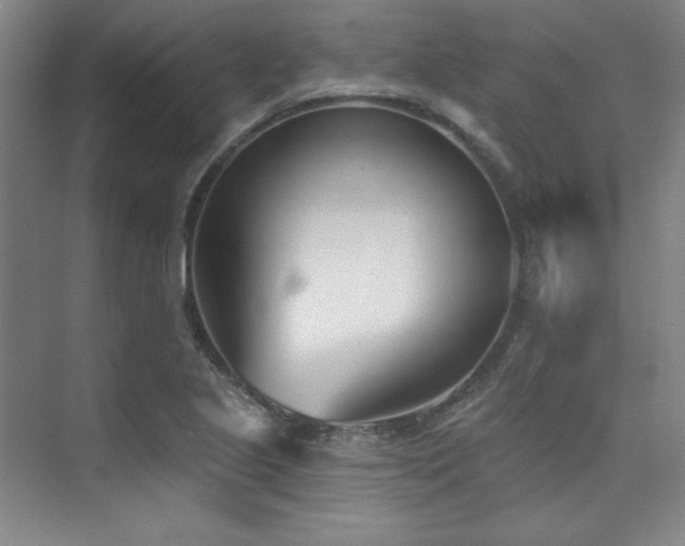 X0000073871221200608101501