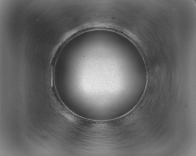 X0000073871223200608101501