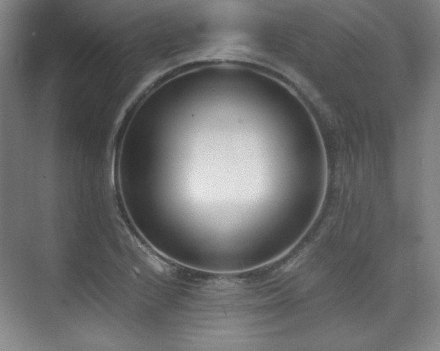 X0000073871224200608101501