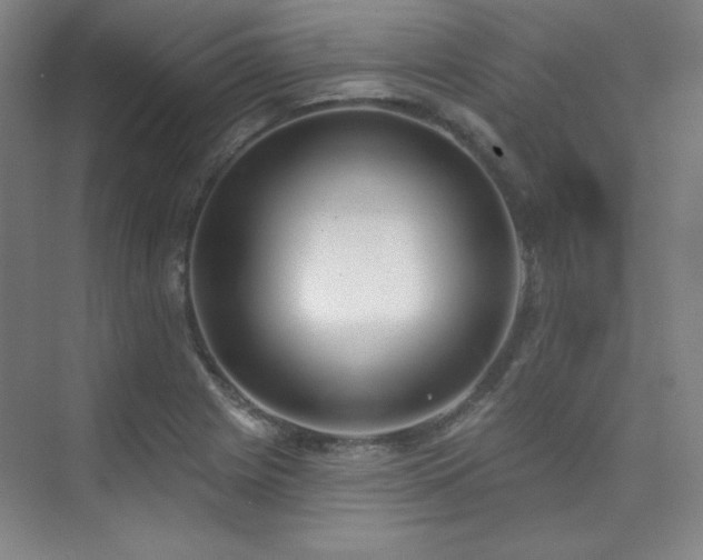 X0000073871225200608101501